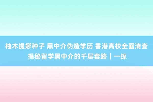 柚木提娜种子 黑中介伪造学历 香港高校全面清查 揭秘留学黑中介的千层套路｜一探
