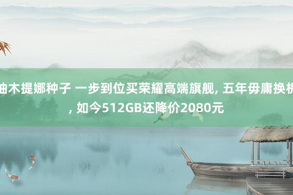 柚木提娜种子 一步到位买荣耀高端旗舰， 五年毋庸换机， 如今512GB还降价2080元