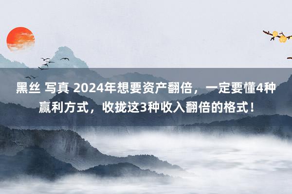 黑丝 写真 2024年想要资产翻倍，一定要懂4种赢利方式，收拢这3种收入翻倍的格式！