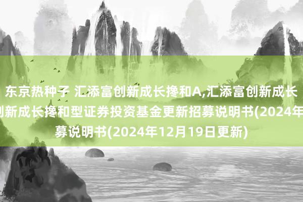东京热种子 汇添富创新成长搀和A,汇添富创新成长搀和C: 汇添富创新成长搀和型证券投资基金更新招募说明书(2024年12月19日更新)