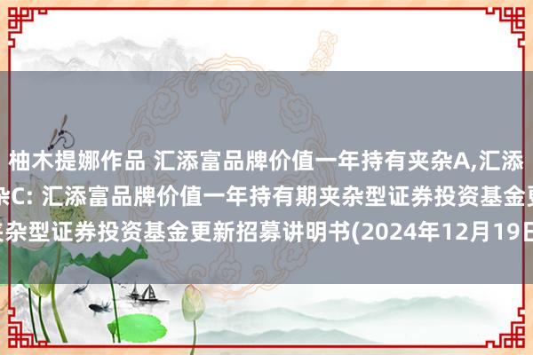 柚木提娜作品 汇添富品牌价值一年持有夹杂A,汇添富品牌价值一年持有夹杂C: 汇添富品牌价值一年持有期夹杂型证券投资基金更新招募讲明书(2024年12月19日更新)