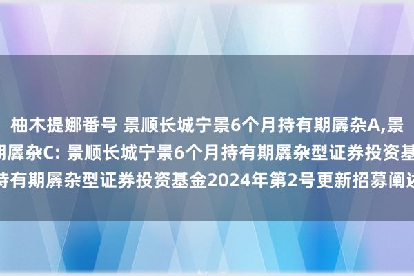 柚木提娜番号 景顺长城宁景6个月持有期羼杂A,景顺长城宁景6个月持有期羼杂C: 景顺长城宁景6个月持有期羼杂型证券投资基金2024年第2号更新招募阐述书