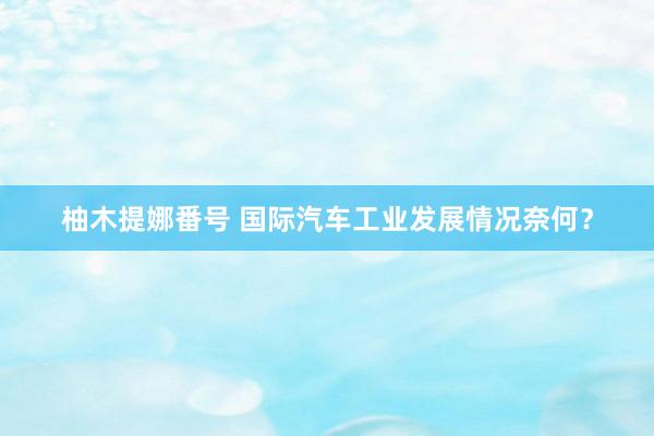 柚木提娜番号 国际汽车工业发展情况奈何？