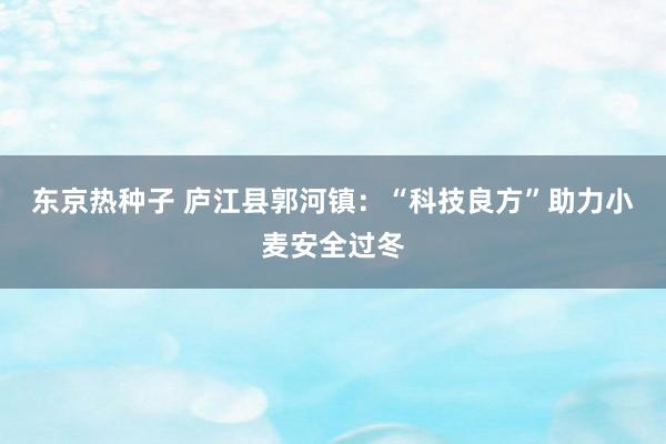东京热种子 庐江县郭河镇：“科技良方”助力小麦安全过冬