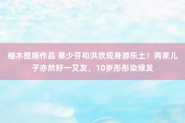 柚木提娜作品 蔡少芬和洪欣现身游乐土！两家儿子亦然好一又友，10岁彤彤染绿发