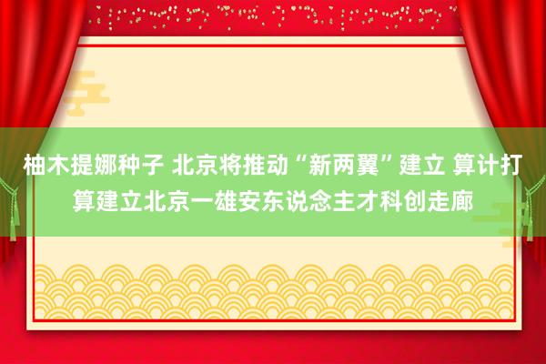 柚木提娜种子 北京将推动“新两翼”建立 算计打算建立北京一雄安东说念主才科创走廊