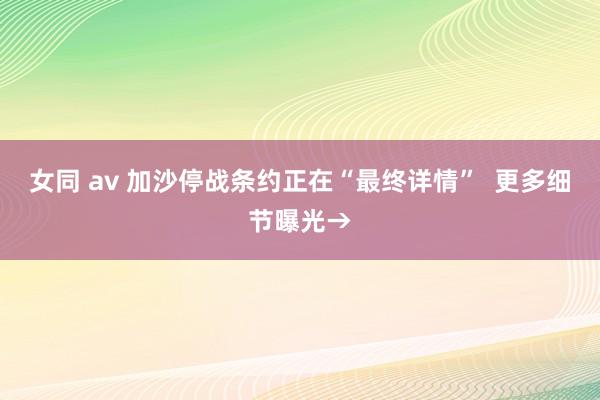 女同 av 加沙停战条约正在“最终详情”  更多细节曝光→