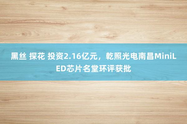 黑丝 探花 投资2.16亿元，乾照光电南昌MiniLED芯片名堂环评获批