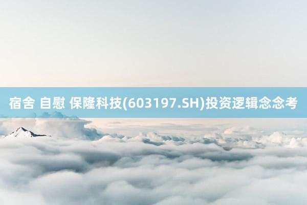 宿舍 自慰 保隆科技(603197.SH)投资逻辑念念考