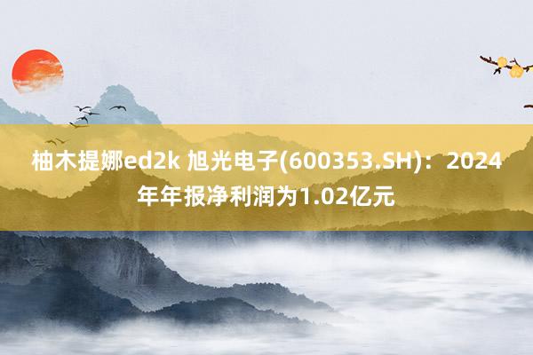 柚木提娜ed2k 旭光电子(600353.SH)：2024年年报净利润为1.02亿元
