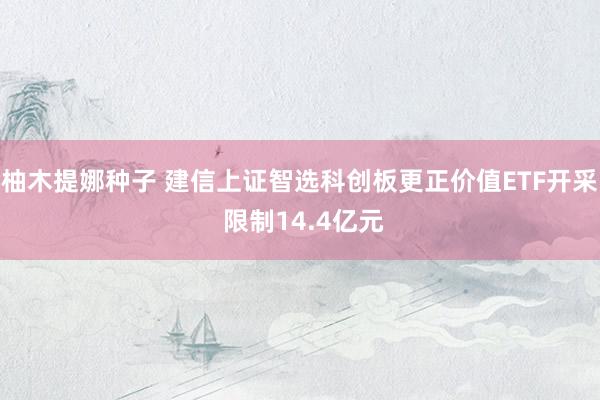 柚木提娜种子 建信上证智选科创板更正价值ETF开采 限制14.4亿元