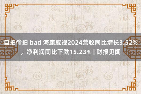 自拍偷拍 bad 海康威视2024营收同比增长3.52%，净利润同比下跌15.23% | 财报见闻