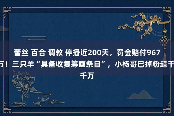 蕾丝 百合 调教 停播近200天，罚金赔付9673万！三只羊“具备收复筹画条目”，小杨哥已掉粉超千万