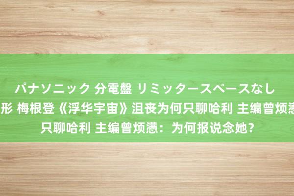 パナソニック 分電盤 リミッタースペースなし 露出・半埋込両用形 梅根登《浮华宇宙》沮丧为何只聊哈利 主编曾烦懑：为何报说念她？