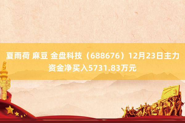 夏雨荷 麻豆 金盘科技（688676）12月23日主力资金净买入5731.83万元
