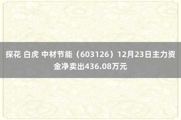探花 白虎 中材节能（603126）12月23日主力资金净卖出436.08万元