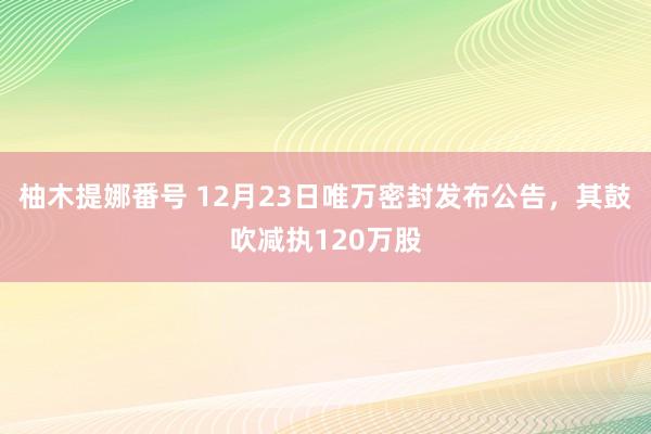 柚木提娜番号 12月23日唯万密封发布公告，其鼓吹减执120万股