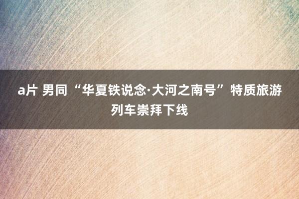 a片 男同 “华夏铁说念·大河之南号” 特质旅游列车崇拜下线