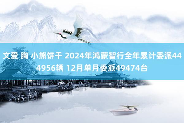 文爱 胸 小熊饼干 2024年鸿蒙智行全年累计委派444956辆 12月单月委派49474台