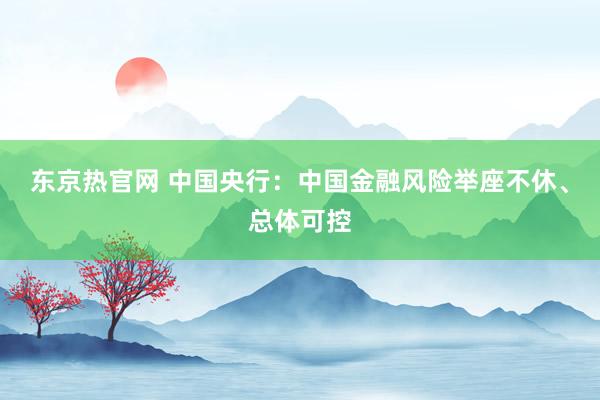 东京热官网 中国央行：中国金融风险举座不休、总体可控