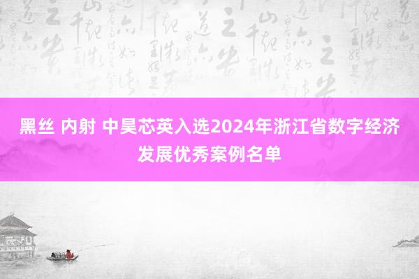黑丝 内射 中昊芯英入选2024年浙江省数字经济发展优秀案例名单