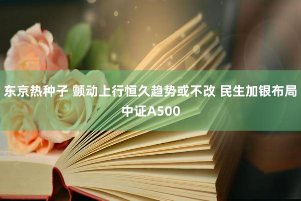 东京热种子 颤动上行恒久趋势或不改 民生加银布局中证A500