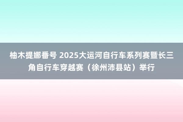 柚木提娜番号 2025大运河自行车系列赛暨长三角自行车穿越赛（徐州沛县站）举行
