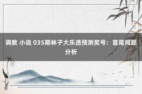 调教 小说 035期林子大乐透预测奖号：首尾间距分析