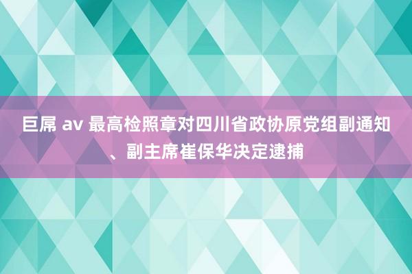 巨屌 av 最高检照章对四川省政协原党组副通知、副主席崔保华决定逮捕