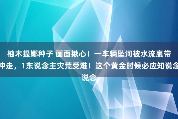 柚木提娜种子 画面揪心！一车辆坠河被水流裹带冲走，1东说念主灾荒受难！这个黄金时候必应知说念
