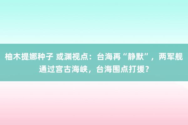 柚木提娜种子 或渊视点：台海再“静默”，两军舰通过宫古海峡，台海围点打援？