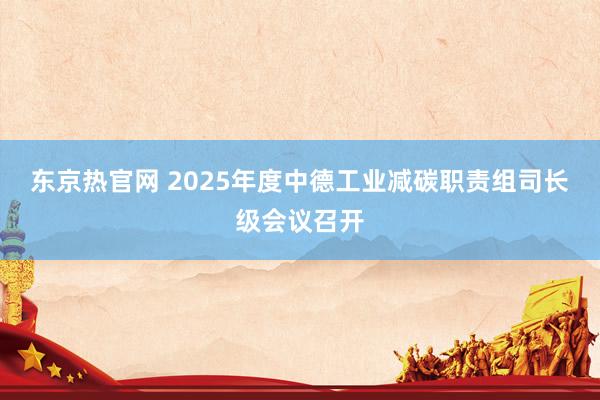 东京热官网 2025年度中德工业减碳职责组司长级会议召开