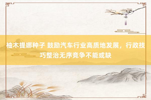柚木提娜种子 鼓励汽车行业高质地发展，行政技巧整治无序竞争不能或缺