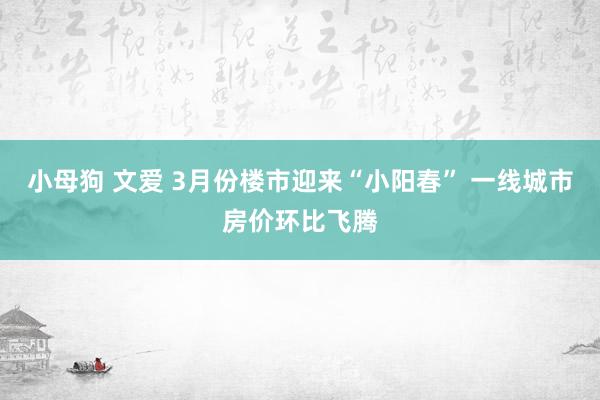 小母狗 文爱 3月份楼市迎来“小阳春” 一线城市房价环比飞腾