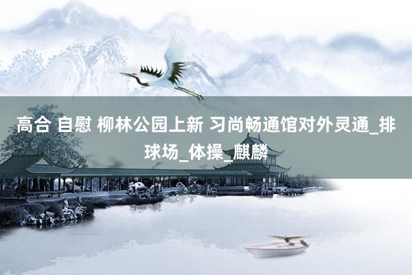 高合 自慰 柳林公园上新 习尚畅通馆对外灵通_排球场_体操_麒麟
