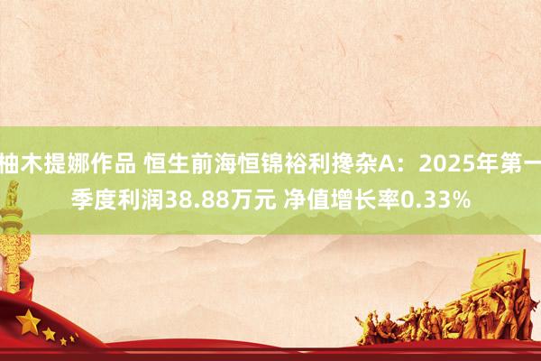 柚木提娜作品 恒生前海恒锦裕利搀杂A：2025年第一季度利润38.88万元 净值增长率0.33%