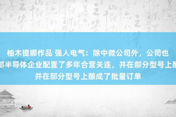 柚木提娜作品 强人电气：除中微公司外，公司也与国内其他头部半导体企业配置了多年合营关连，并在部分型号上酿成了批量订单