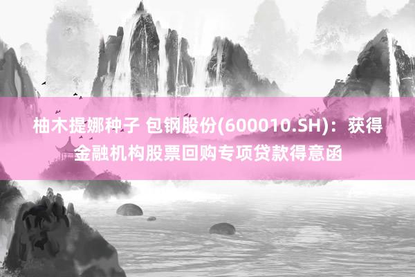 柚木提娜种子 包钢股份(600010.SH)：获得金融机构股票回购专项贷款得意函