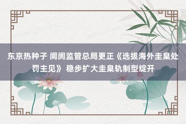 东京热种子 阛阓监管总局更正《选拔海外圭臬处罚主见》 稳步扩大圭臬轨制型绽开